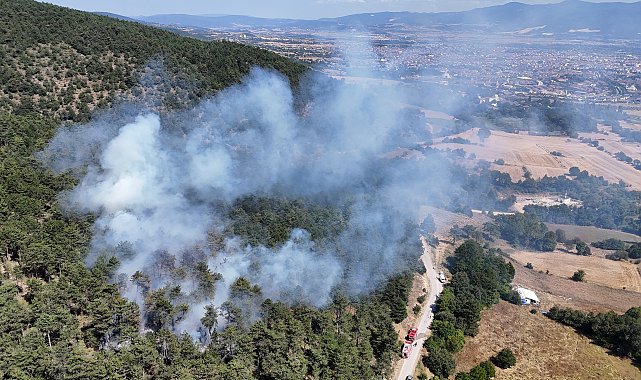 Bolu'da orman yangını