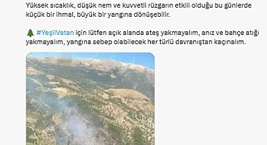 Bursa ve İzmir'de çıkan orman yangınları kontrol altına alındı