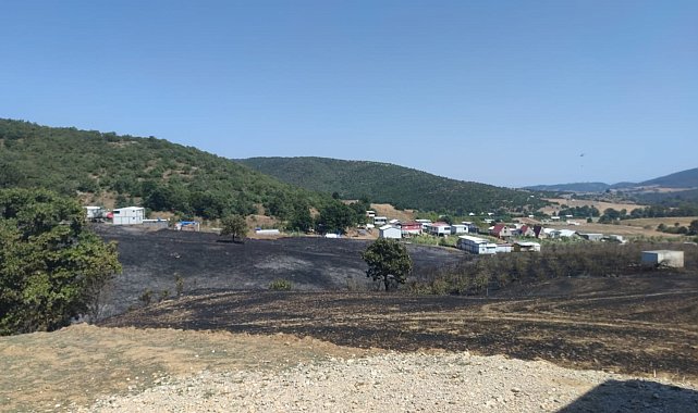 Bursa'da anız yangını ormana sıçradı