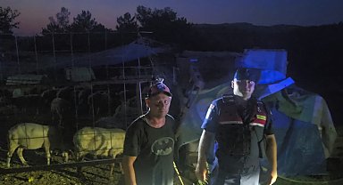 Bursa'da kaybolan 50 koyun jandarmanın dron destekli aramasıyla bulundu