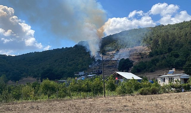 Bursa'da orman yangını