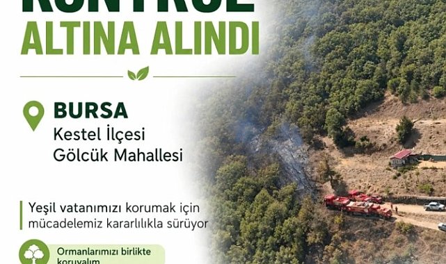 Bursa'da orman yangını