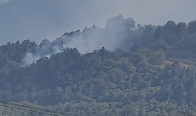 Bursa'da orman yangını
