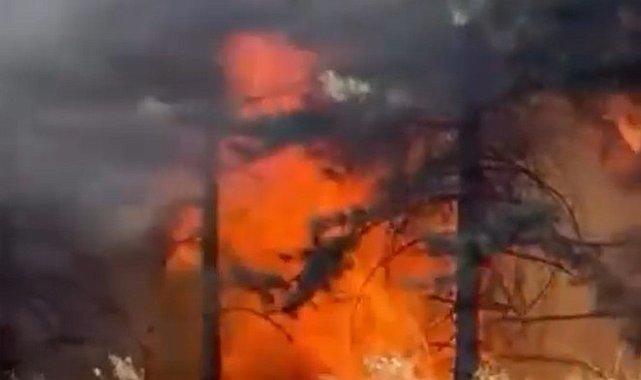 Bursa'da orman yangını