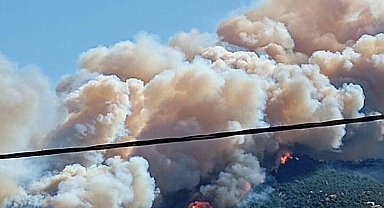 Çanakkale'de 2 ayda çıkan orman yangınlarında 541 hektar alan zarar gördü