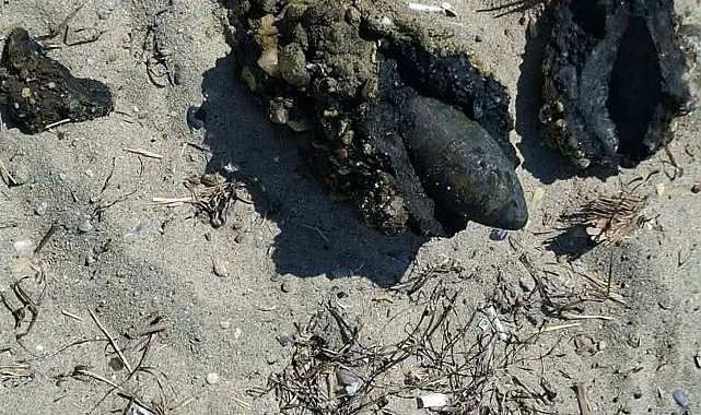 Çanakkale'de halk plajında patlamamış top mermisi bulundu