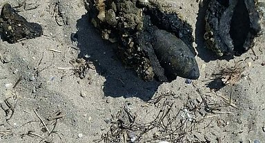 Çanakkale'de halk plajında patlamamış top mermisi bulundu