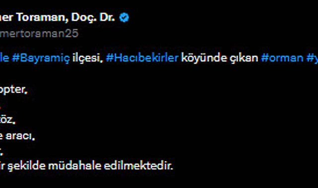 Çanakkale'de orman yangını