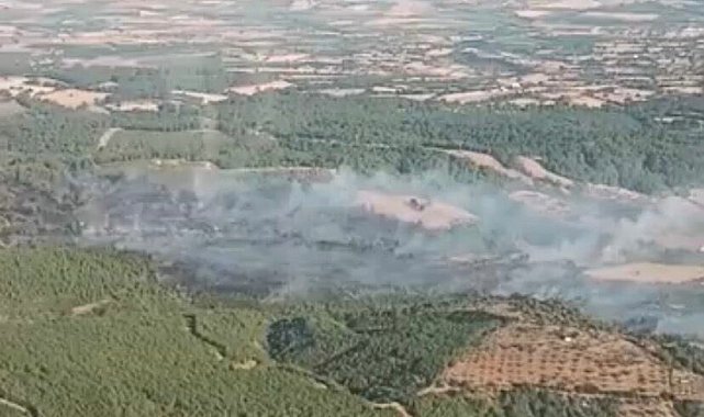 Çanakkale'de orman yangını