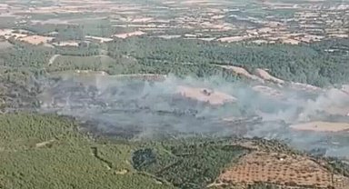 Çanakkale'de orman yangını