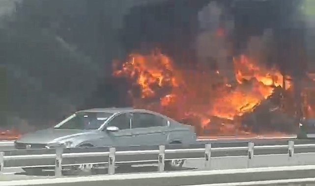 Çatalca'da lastik yüklü TIR'ın dorsesi yandı; alevler tarım arazisine sıçradı