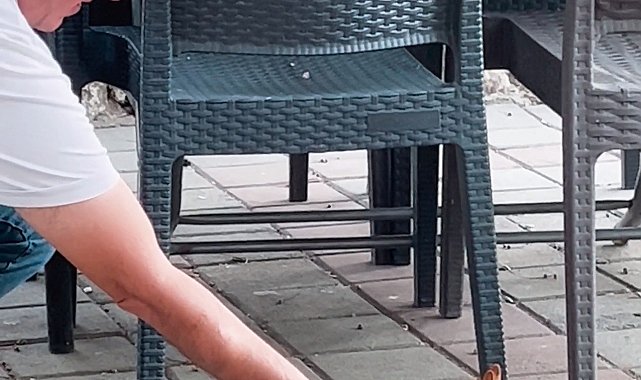 Çay bahçesinde yanına gelen sincabı çekirdekle besledi