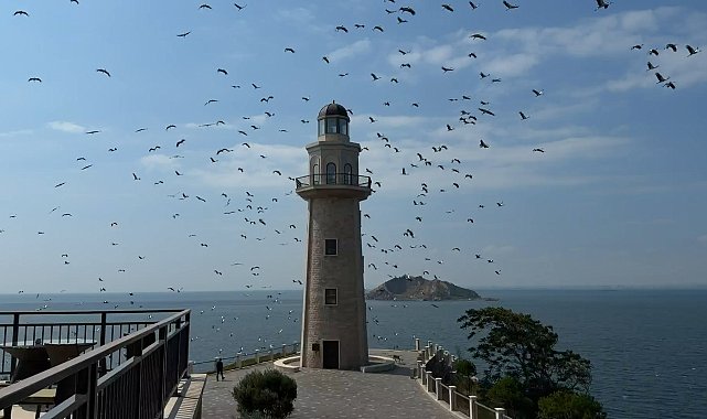 Demokrasi ve Özgürlükler Adası'nda göç yolundaki leylekler görsel şölen oluşturdu