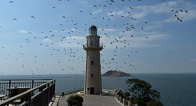 Demokrasi ve Özgürlükler Adası'nda göç yolundaki leylekler görsel şölen oluşturdu