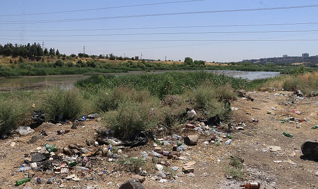 Dicle Vadisi'nde 'piknikçi' kirliliği: Atıklar insan ve yaban hayatını tehdit ediyor