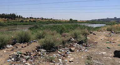 Dicle Vadisi'nde 'piknikçi' kirliliği: Atıklar insan ve yaban hayatını tehdit ediyor