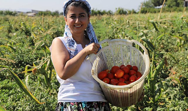 Eczanede başlayan mesaisi tarlada bitiyor