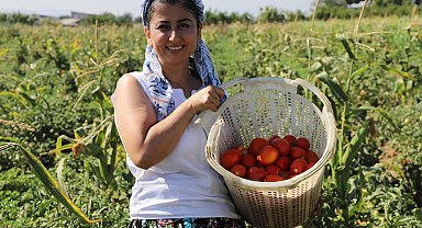 Eczanede başlayan mesaisi tarlada bitiyor