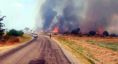 Edirne'de anız yangını ormana sıçradı; havadan ve karadan müdahale sürüyor