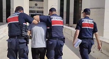 Edremit'teki orman yangına ilişkin 1 tutuklama