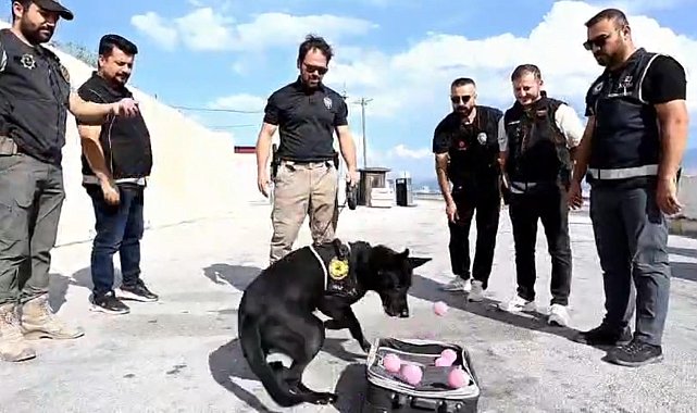 Emekli olan narkotik köpeği Naz'a duygulandıran veda