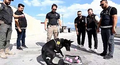 Emekli olan narkotik köpeği Naz'a duygulandıran veda