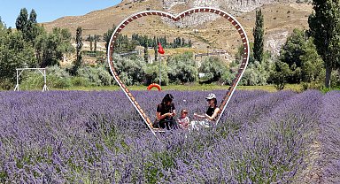 Emeklilikte yaşadığı boşluğu lavanta bahçesi ile doldurdu