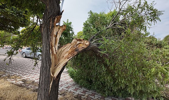 Erciş'te şiddetli fırtına hasara yol açtı