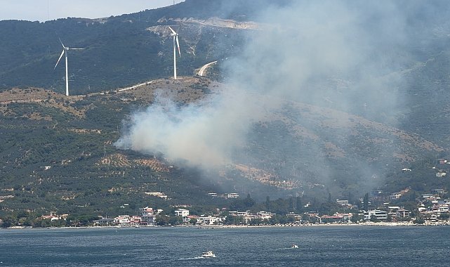 Erdek'te orman yangını