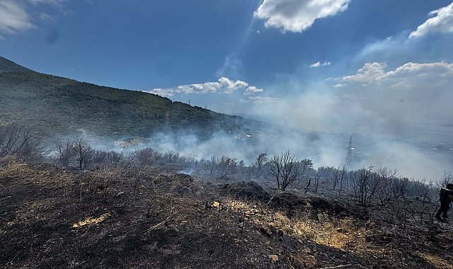 Erdek'te zeytinlik ve makilik alanda yangın- Yeniden