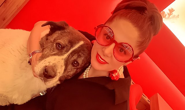Esenyurt'ta 10 yıldır baktığı köpeği barınakta ölü buldu, sinir krizi geçirdi