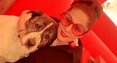 Esenyurt'ta 10 yıldır baktığı köpeği barınakta ölü buldu, sinir krizi geçirdi