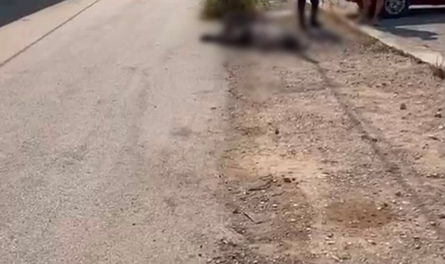 Eşini ve eniştesini tabancayla öldürdü