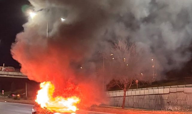 Eskişehir'de seyir halinde alev alan otomobilin sürücüsü yaralandı