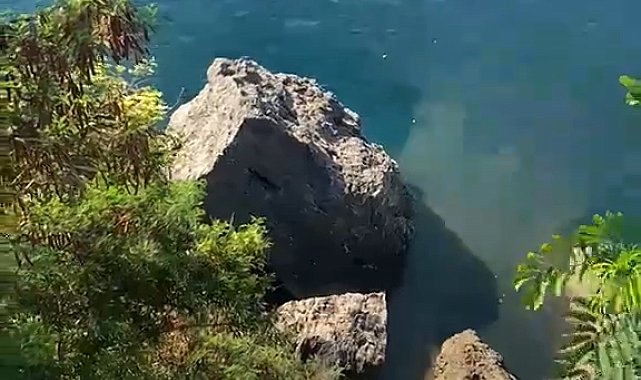Falezlerden denize atık su akmasına soruşturma