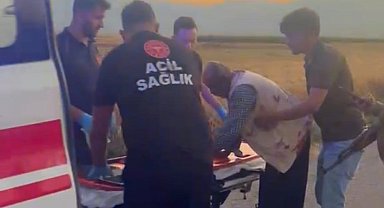 Gaziantep'te hayvan otlatma kavgası; 2 yaralı