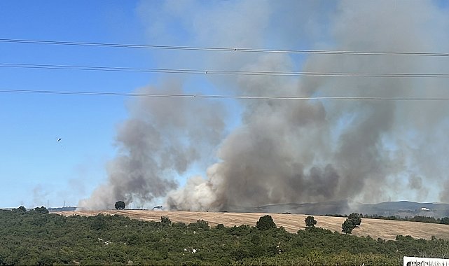 Gebze'de orman yangını