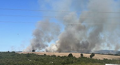 Gebze'de orman yangını