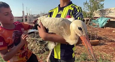 Göçte yorgun düşen leyleği evinde misafir etti