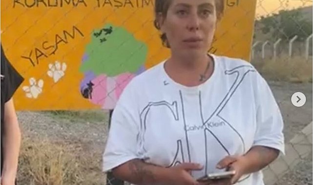 Hayvanları koruma derneği başkanının öldürülmesine ilişkin kardeşi aranıyor