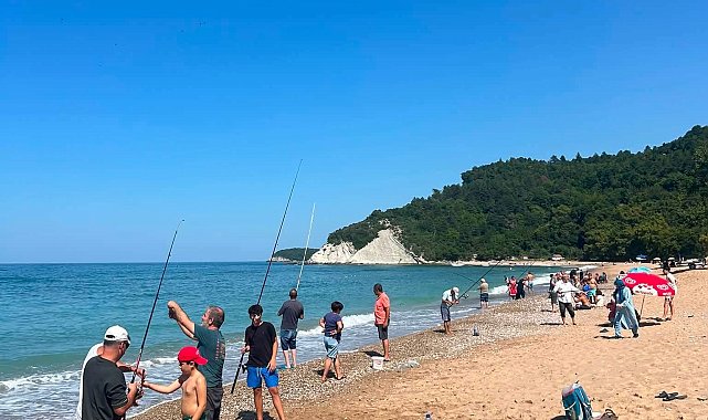 İstavrit kıyıya yaklaşınca plaj balık tutanlarla doldu