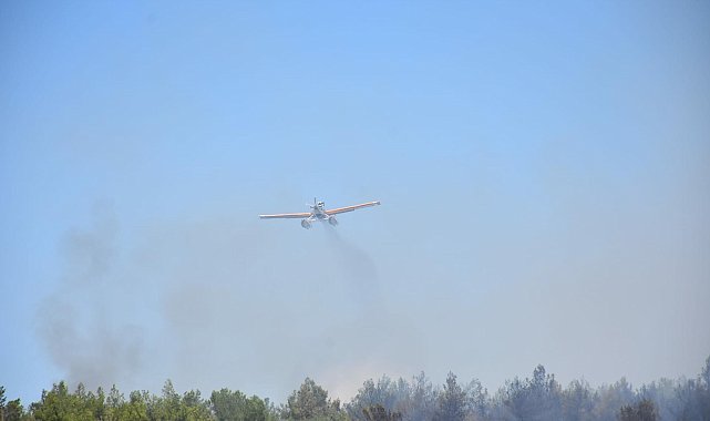 İzmir'de orman yangını