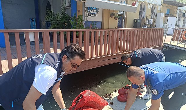 İzmir'de yasa dışı yollarla avlanılan 560 kilo kara midyeye el konuldu