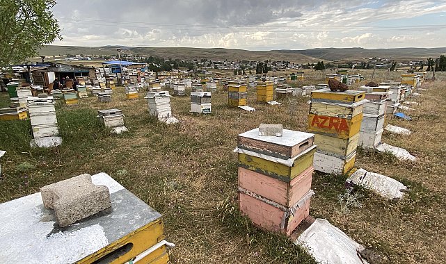 Kars'ta arıcılardan dolu ve fırtınaya karşı 'taşlı' önlem