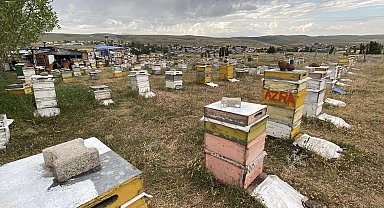 Kars'ta arıcılardan dolu ve fırtınaya karşı 'taşlı' önlem