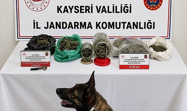 Kayseri'de 1,2 kilo esrar ele geçirildi; 1 gözaltı