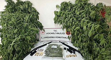 Kocaeli'de uyuşturucu operasyonu; 2 tutuklama