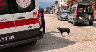 Köpeğe çarpmamak için manevra yapınca motosikleti devrilip, yaralandı