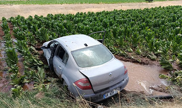 Malatya'da otomobil, tütün tarlasına girdi: 3 yaralı