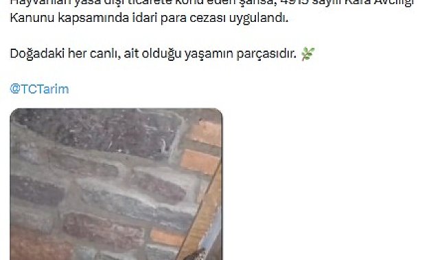 Manisa'da 61 yaban hayvanına el konuldu